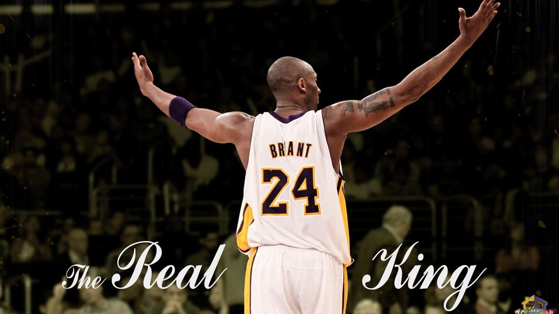 战队教练战术深度解析，王者荣耀职业战队教练什么水平